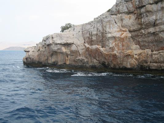 biograd 2824 r