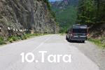 10 Tara Mini