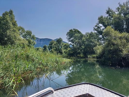 The Camp in Rijeka am Shkodra See 11 rijeka 105912 1 r