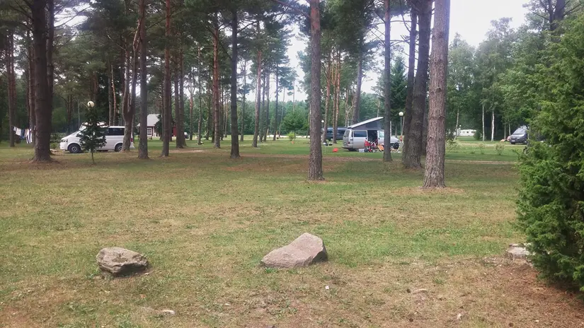 Saaremaa - Estnische Insel 3 saaremaa 145319 r