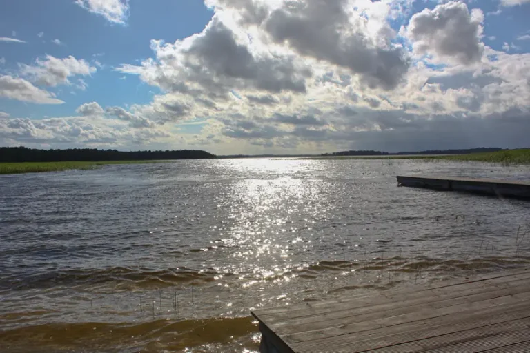 sivers see
