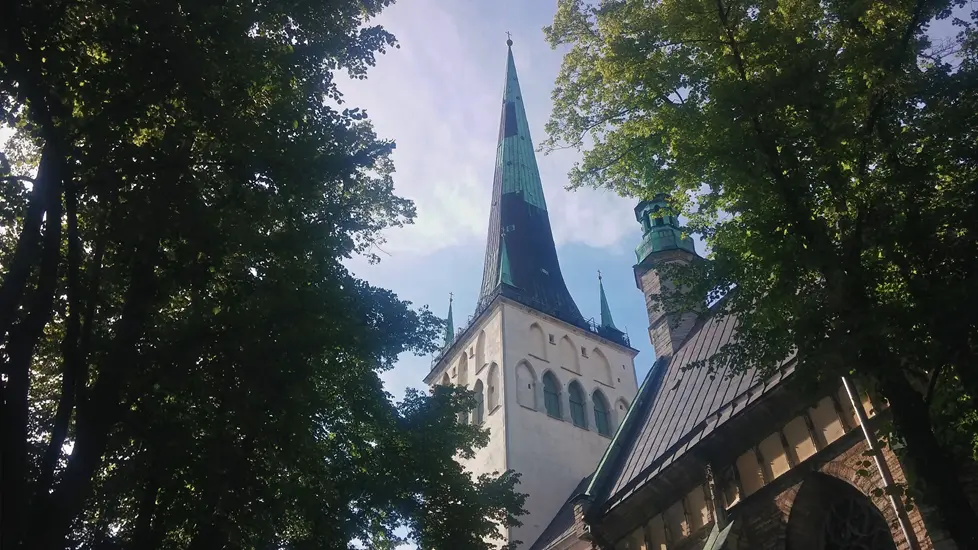 Tallinn - Stadt wie aus dem Märchen 6 tallinn 174314 r