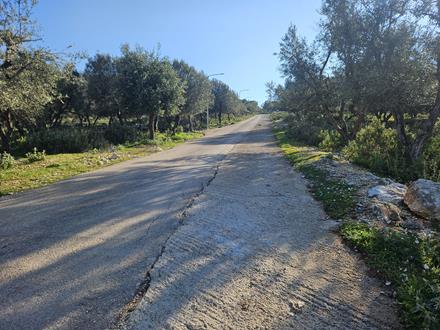 Butrint - Stadt der Antike 20 butrint 082926 r
