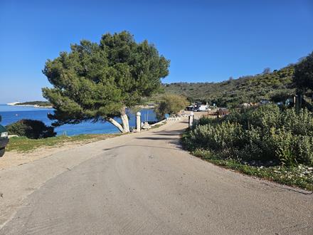 Butrint - Stadt der Antike 22 butrint 083001 r