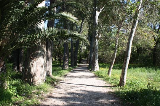 Butrint - Stadt der Antike 4 butrint 7263 r
