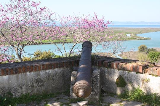 Butrint - Stadt der Antike 14 butrint 7324 r
