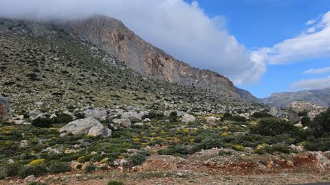 agios