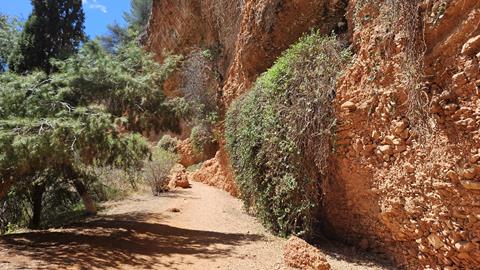 doline