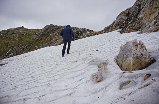 Schneefeld