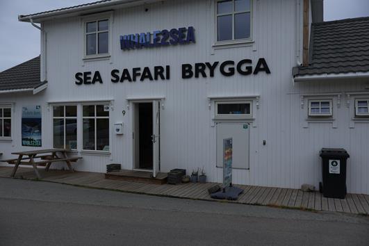 Auf Walsafari in Andenes 2 img 0713 whale2sea r