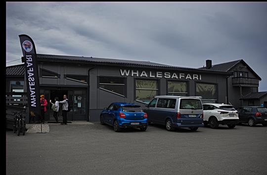 Auf Walsafari in Andenes 1 img 0714 whalesafari r