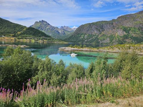 Lofoten- Natur pur, viele Touristen 2 Lofoten