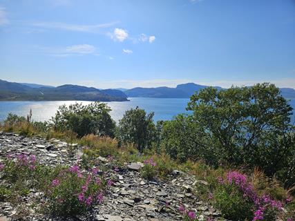 weg2nordkap 100309 r