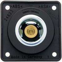 12v dose