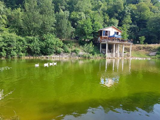 The Camp in Rijeka am Shkodra See 6 rijeka