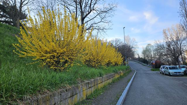Frühling in Odava