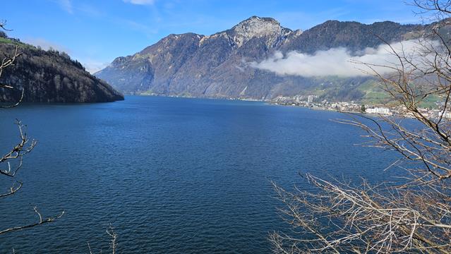 Vierwaldstätter See