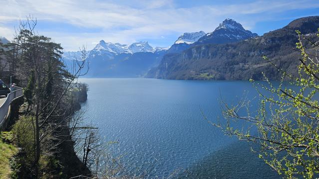Vierwaldstätter See