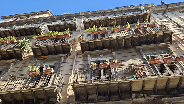 Balkon grün