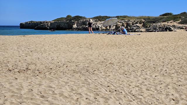 Arenella