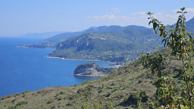 amasra 123706 r