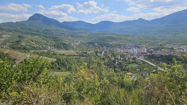 amasra 135735 r