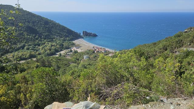amasra 145505 r