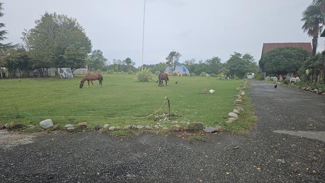 chkadouache 090518 r