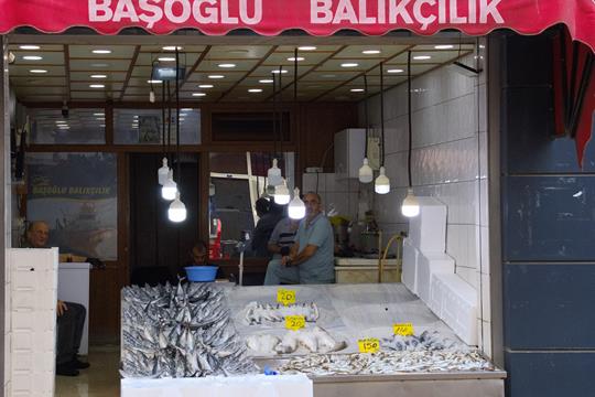 Mit dem Wohnmobil nach Sinop 9 Fischladen
