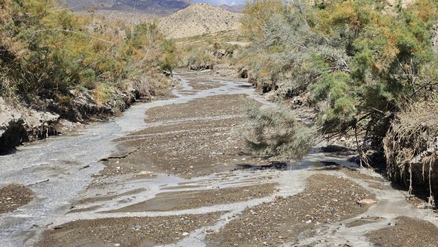 angel canyon 135921 r