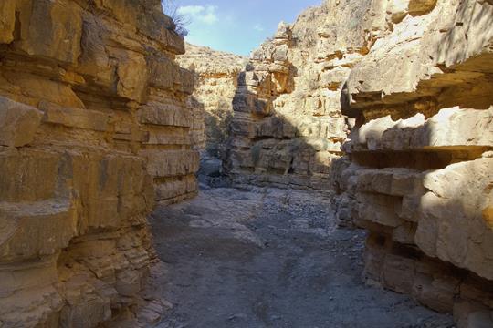 angel canyon 3854 r
