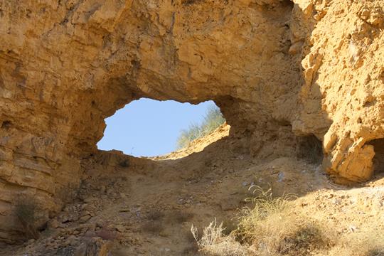 angel canyon 3861 r