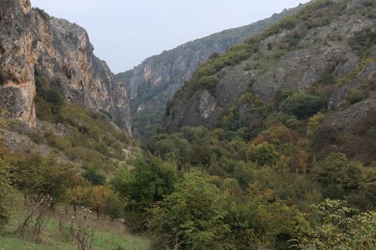 garedscha img 3529r
