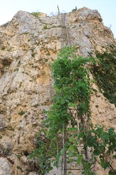 kaszchi img 3244 r
