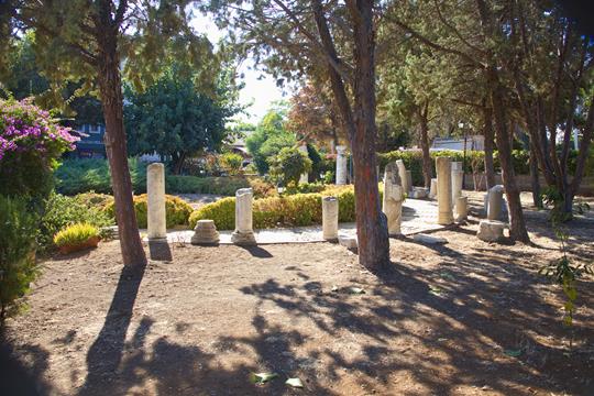 tarsus img 4379 r
