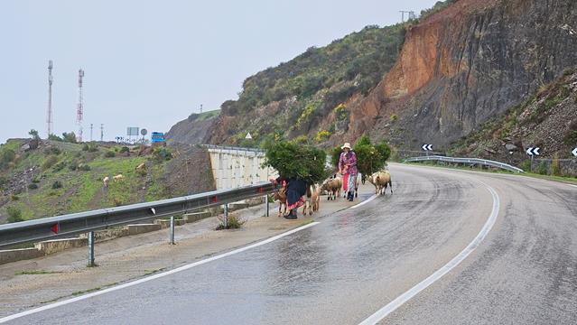 Am Mittelmeer nach Al Hoceima 5 hoceima 113321 r