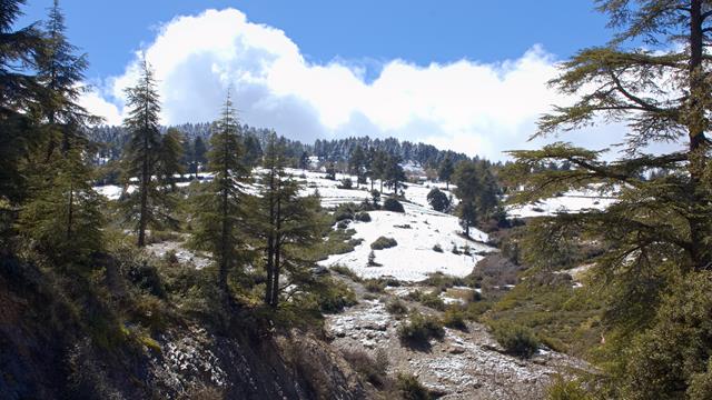 Schnee im Rifgebirge 11 rifgebirge img 4928 r