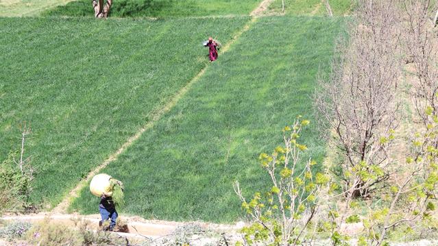 Die Dades Schlucht 8 dades img 5271 r
