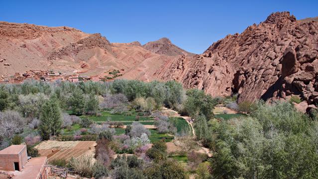Die Dades Schlucht 16 dades img 5313 1 r