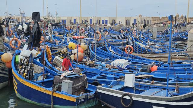 Essaouira - Viele Touristen 6 essaouira 111211 r