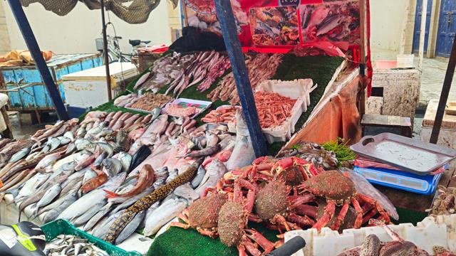 Essaouira - Viele Touristen 10 essaouira 112333 1 r