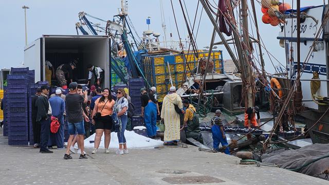 Essaouira - Viele Touristen 8 essaouira 113203 1 r