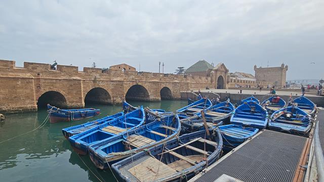 Essaouira - Viele Touristen 4 essaouira 114132 1 r