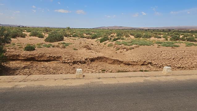 Die White-Beach bei Guelmim 4 guelmim 121701 1 r