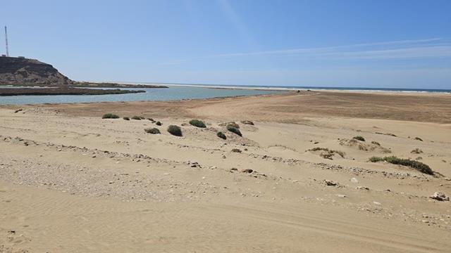 Die White-Beach bei Guelmim 12 white-beach