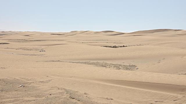 Die White-Beach bei Guelmim 13 img guelmim5634 r