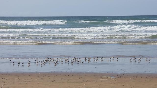 guelmim white beach