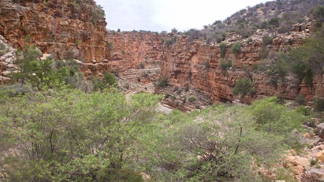 Paradise Valley