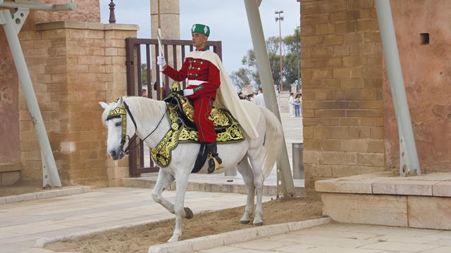 Königsstadt Rabat 15 img rabat6487 r