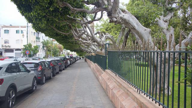 Königsstadt Rabat 18 img rabat6493 r